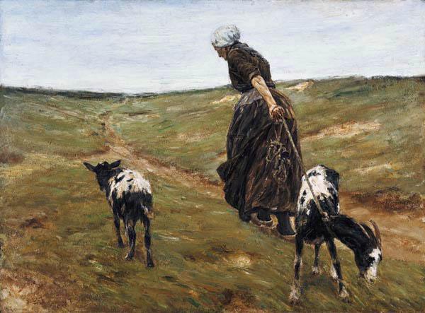 Vrouw met geiten in de duinen