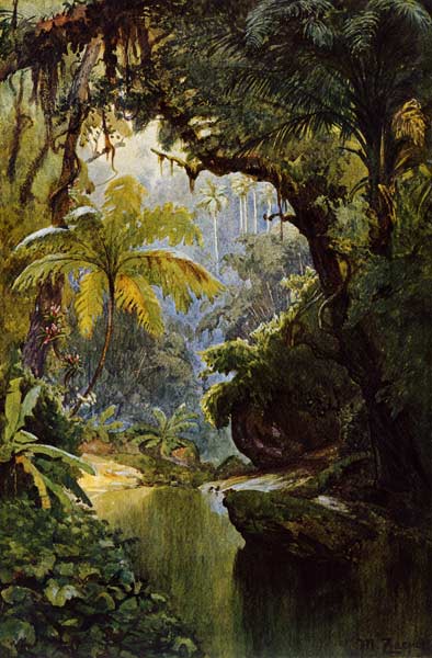 Brazilian Jungle , Zaeper van Max Zaeper