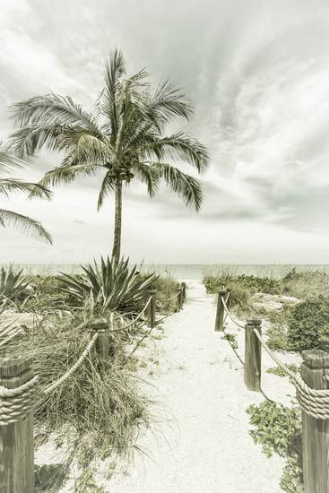 Weg naar het strand - Palms & Sea | Vintage