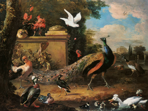 Peacocks and other Birds by a Lake van Melchior de Hondecoeter