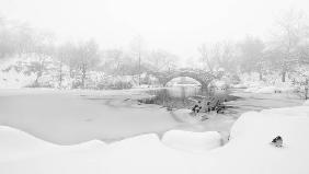 The first snow of central park