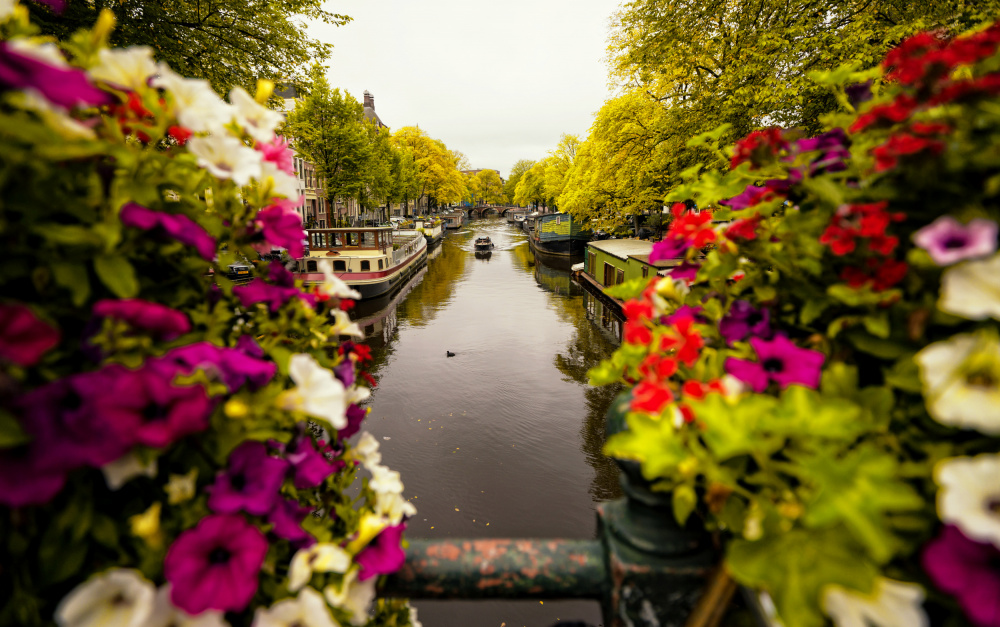 Floral in Amsterdam van Merthan Kortan