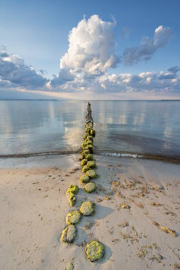 Buhne auf Rügen