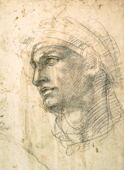 Study of a Head  Inv.1895/9/15/498 (W.1) van Michelangelo (Buonarroti)