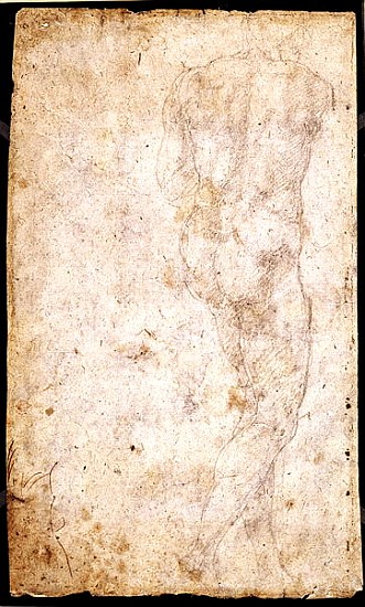 Study of a Male Nude  (for verso see 191765) van Michelangelo (Buonarroti)