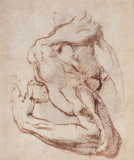 Study of an Arm Inv.1859/5/14/819 (W.49) van Michelangelo (Buonarroti)