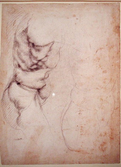 Study of torso and buttock van Michelangelo (Buonarroti)