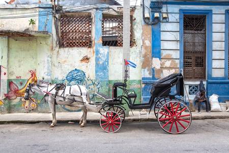 Coach in Havana, Cuba. Street in Havanna, Kuba.