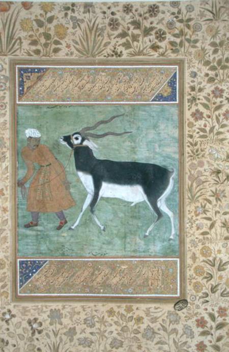 An Indian black buck being led by its keeper van Mughal School