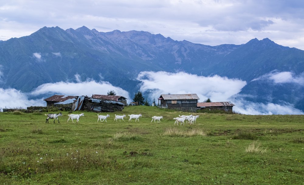 Life above the clouds van Murat Nergiz