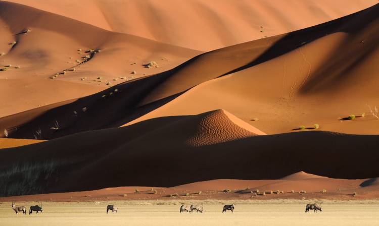Namib Dunes van Muriel Vekemans
