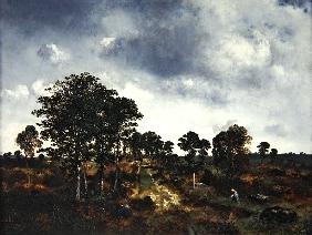 Landscape