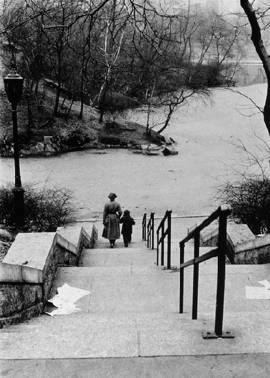 Central Park in Winter