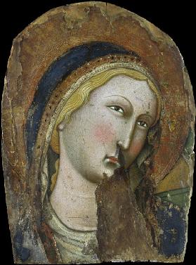 Virgin (fragment)