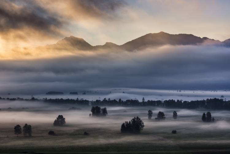 Autumn Morning... van Nina Pauli