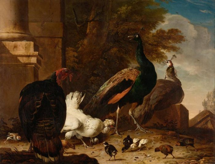 A Hen with Peacocks and a Turkey van 