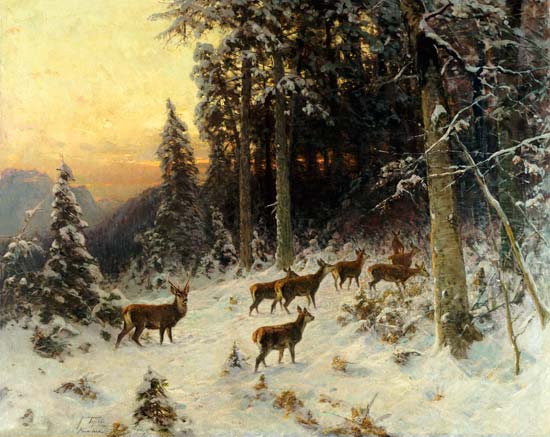 Deer In Winter Wooded Landscape van 