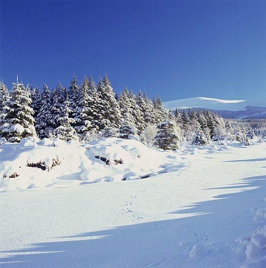 The Wicklow Mountains in Winter van 
