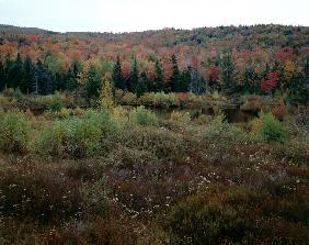 View in the Appalachian mountains (photo) 