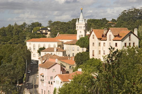 View of the town (photo)  van 