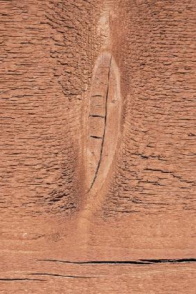 Wood pattern in house, Baffin Island (photo) 