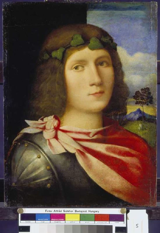 Brustbild eines Jünglings. van Palma il Vecchio (eigentl. Jacopo Negretti)