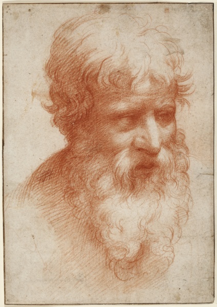 Head of a Bearded Man, looking right van Parmigianino