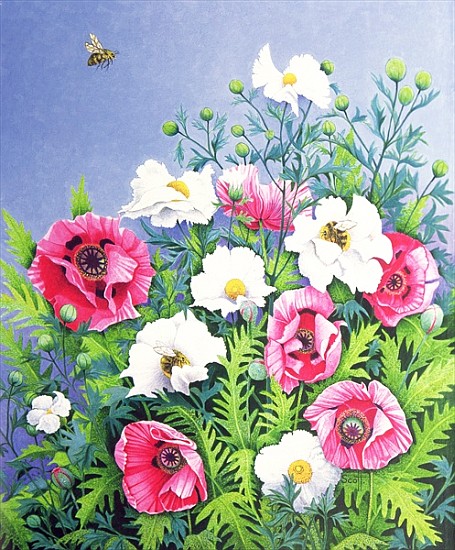 Honey Bee, Honey Bee (oil on canvas)  van Pat  Scott