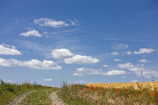 Landschaft der Uckermark in Brandenburg van Patrick Pleul