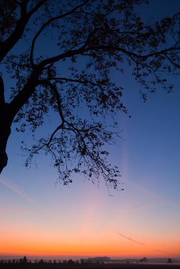 Morgenstimmung in Brandenburg van Patrick Pleul