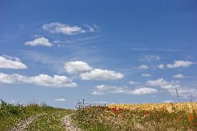 Landschaft der Uckermark in Brandenburg