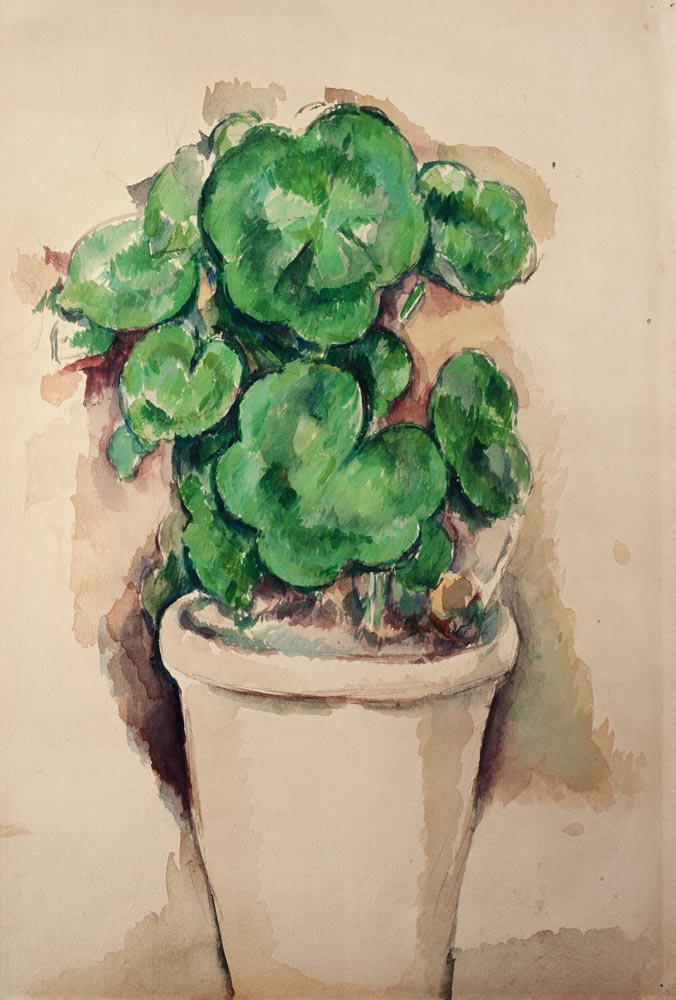 Pot of Geraniums van Paul Cézanne