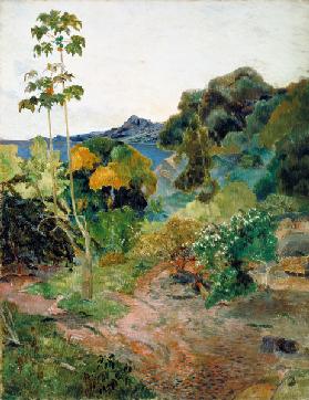Landschaft auf Martinique 1887