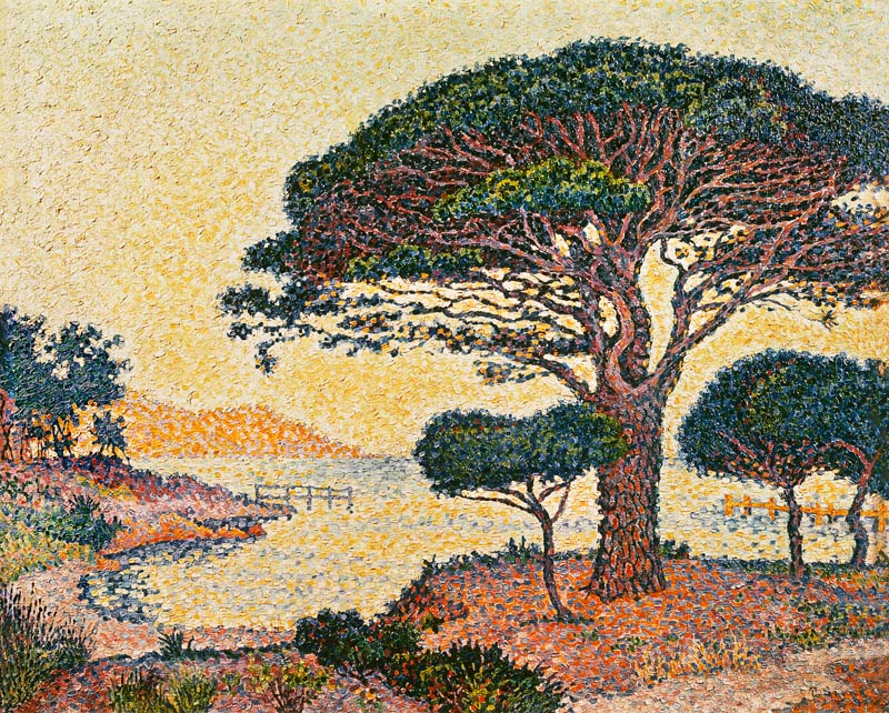 Le Pin Parasol aux Caroubiers van Paul Signac