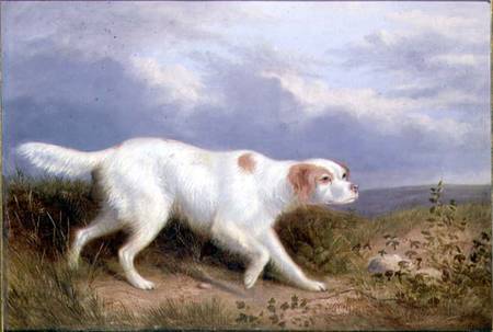 A Setter on the Moor van Philip Reinagle