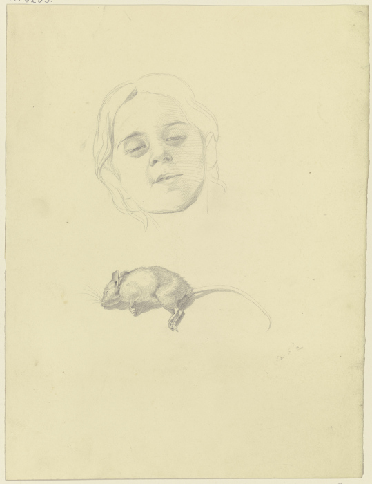Bildnis eines Mädchens, darunter eine tote Maus van Philipp Winterwerb