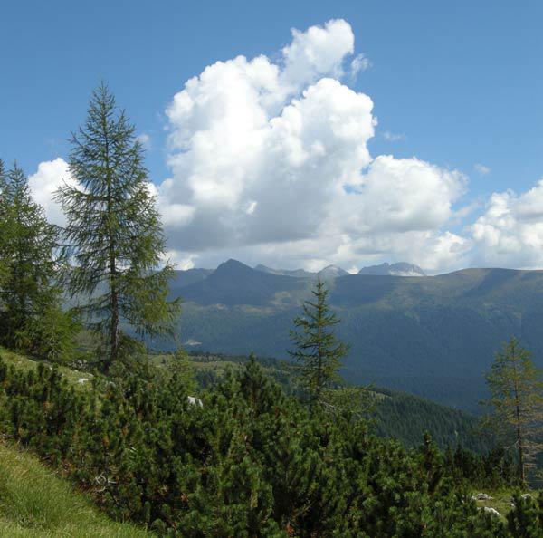 Paesaggio Montano Estivo a Padola 2007