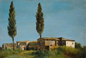 Poplars near Rome