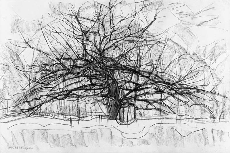 Study for The Grey Tree van Piet Mondriaan