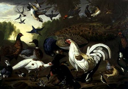 The Fable of the Raven with a Peacock, Cockerel, Woodpecker, Jay, Woodcock, and Magpie van Pieter Casteels