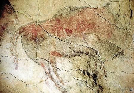 Bison from the Caves at Altamira van Prehistoric