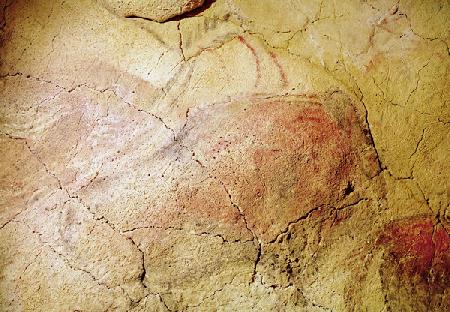 Bison, from the Caves at Altamira