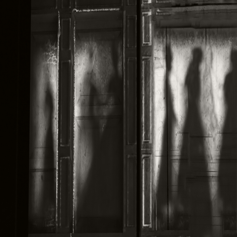 shadows van Rachel Pansky