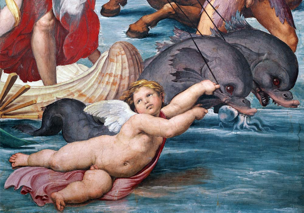 Galatea, detail of putto and dolphins van (Raffael) Raffaello Santi