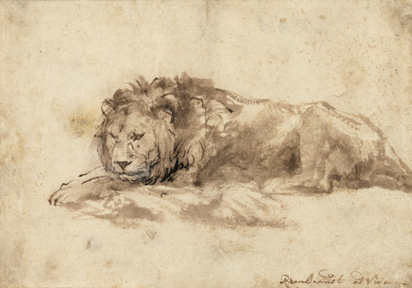  Liggende leeuw van Rembrandt van Rijn
