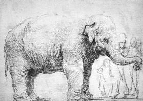 Een olifant 