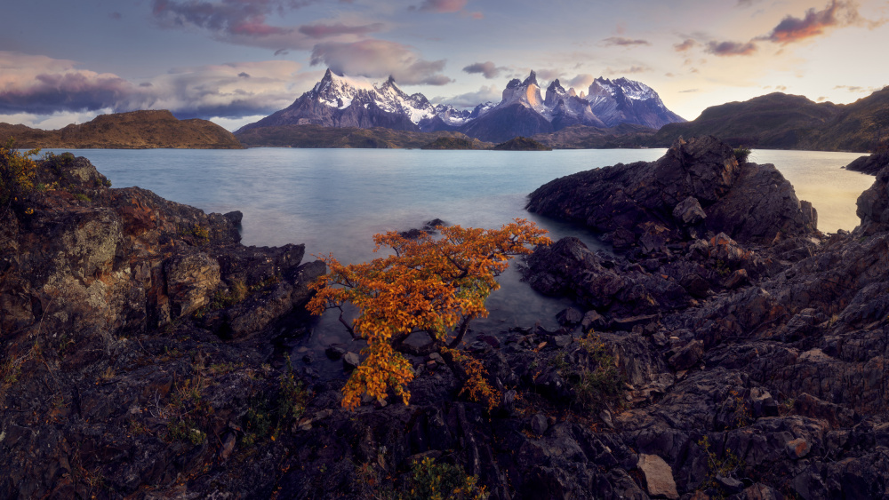 Patagonia van Ricardo Gayan