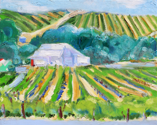 White Barn and Vineyard, Napa van Richard Fox