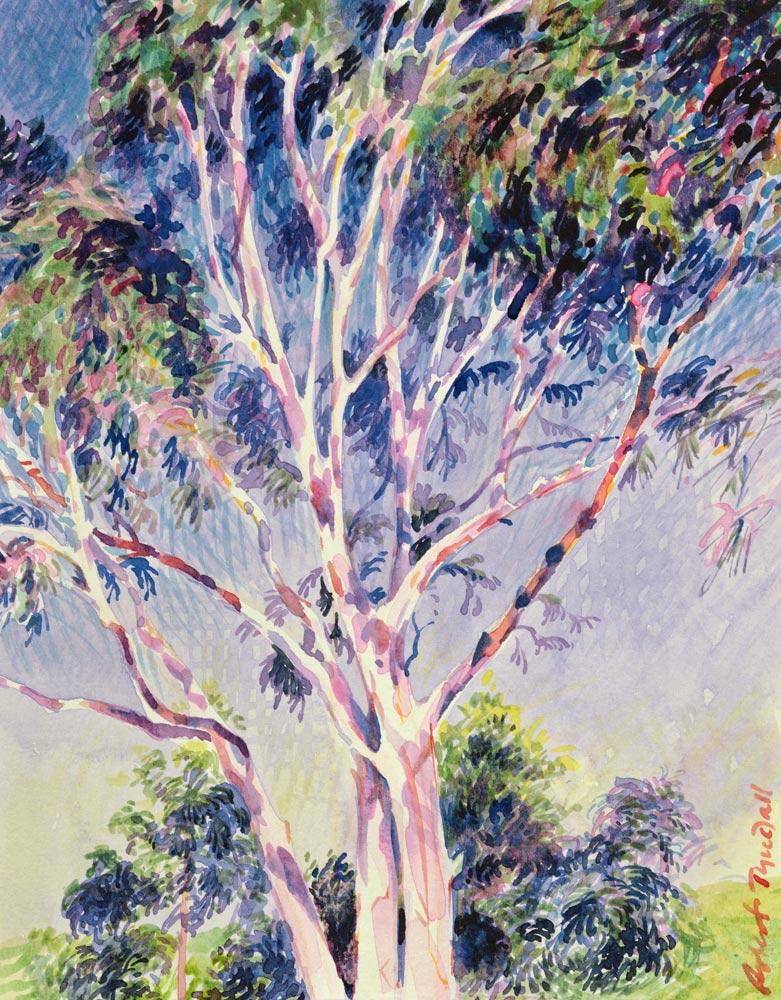 Gum Tree, Australia (w/c)  van Robert  Tyndall
