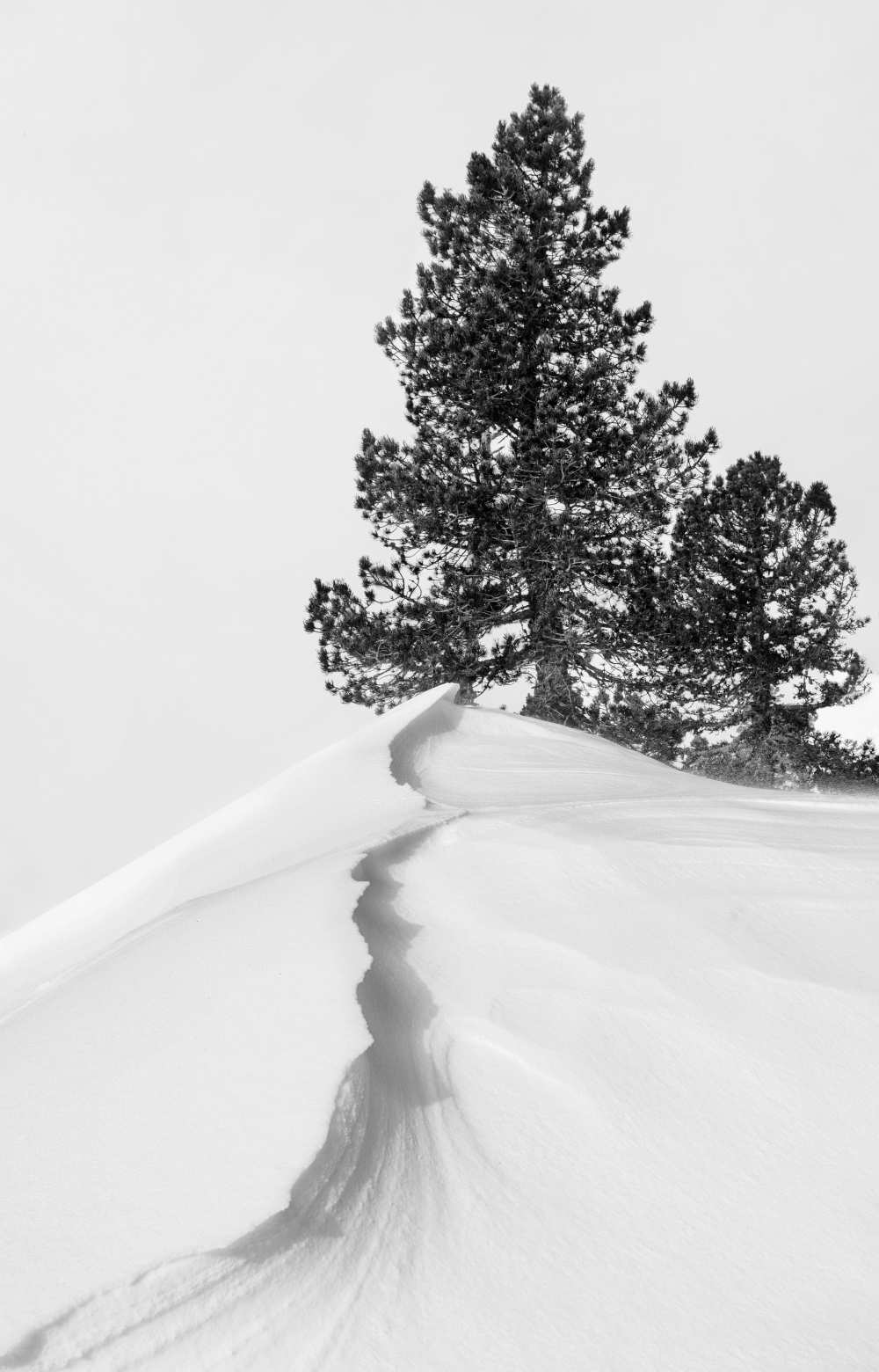 About the snow and forms van Rodrigo Núñez Buj